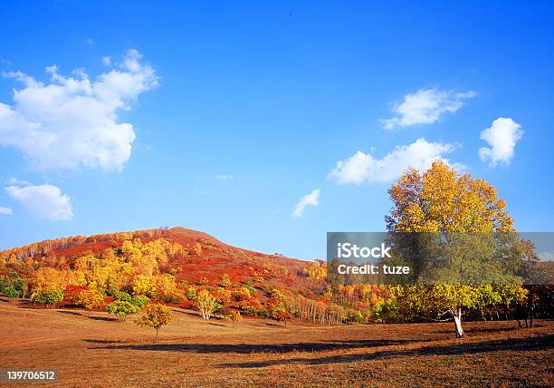 Herbst Im Bashang Stockfoto und mehr Bilder von Agrarbetrieb - Agrarbetrieb, Anhöhe, Anzünden