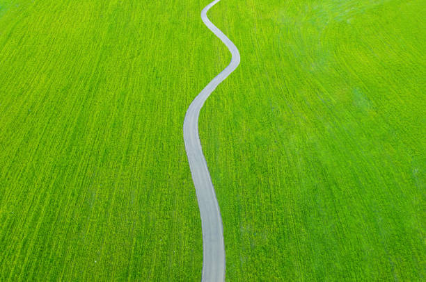 istock Winding asphalt road over fields of green grass. Aerial minimalistic backdrop 1397065804