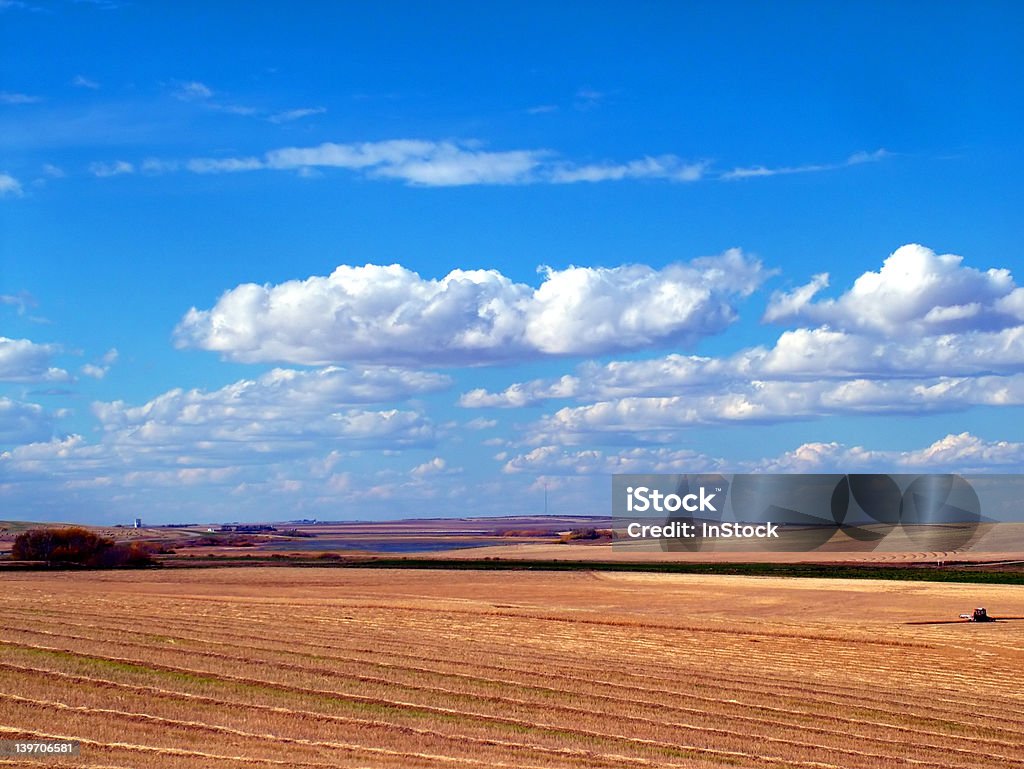 Prairie Harvest - Photo de Agriculture libre de droits