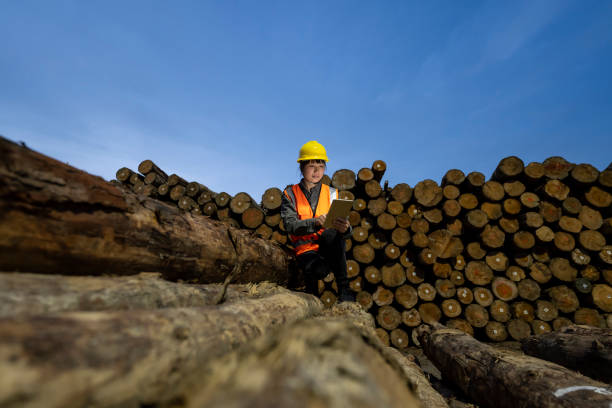 istock A woman works on a tablet computer in a timber storage area at a cargo port 1397068728