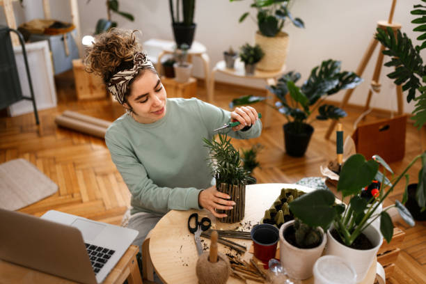 istock Young female influencer botanist giving online classes 1397069724