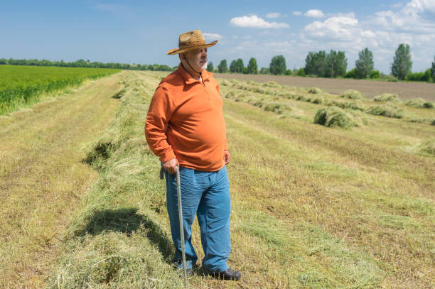 retrato de un agricultor caucásico barbudo de pie en el campo agrícola en el centro de ucrania y mirando hacia adelante - cowboy blue meadow horizontal fotografías e imágenes de stock