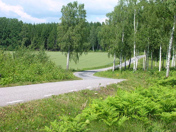 kuvapankkikuvat ja rojaltivapaat kuvat aiheesta kiemurteleva tie - aspen tree