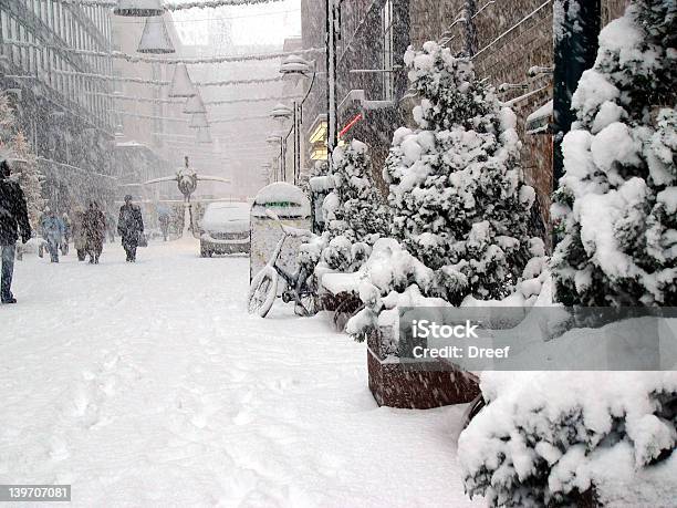 Neve Molto Forte In Città - Fotografie stock e altre immagini di Helsinki - Helsinki, Inverno, Abete