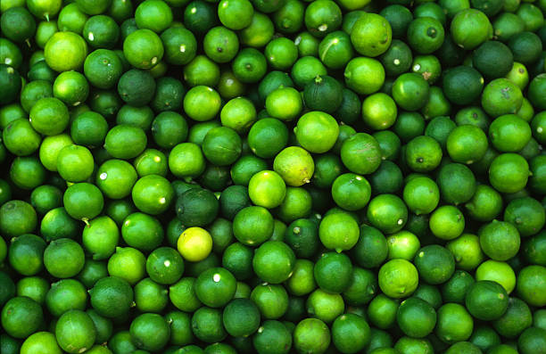 Pattern of green limes stock photo