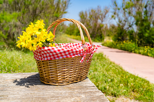 Picnic basket with yellow flowers on a natural parkland wooden table. High resolution 42Mp outdoors digital capture taken with SONY A7rII and Zeiss Batis 40mm F2.0 CF lens