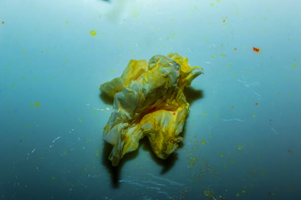 istock Biodegradable trash. Dirty napkins in lemon juice. 1397072925
