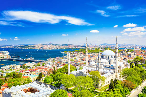 vista aerea drone della moschea suleymaniye, enorme moschea imperiale ottomana a istanbul, in turchia. - istanbul foto e immagini stock