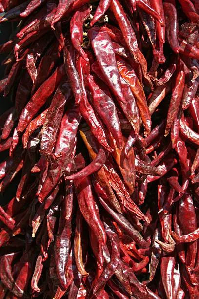 Close-up of Ristra; Chillis that have been dried and tied on a string, hung vertically.