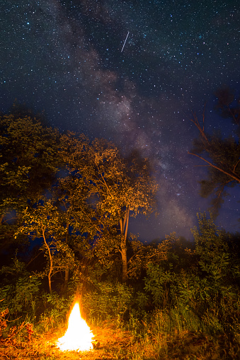 closeup camp fire in night forest glade under milky way