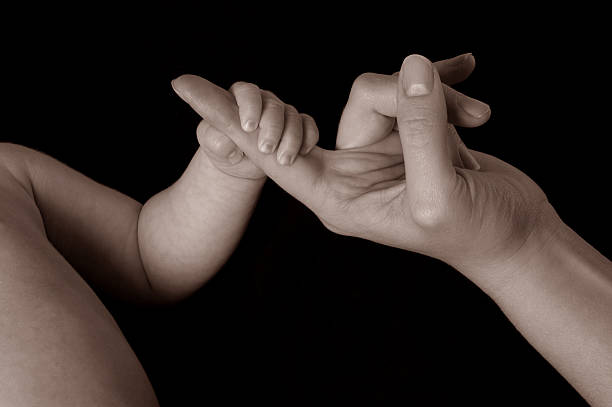 baby hand, - solicitous stock-fotos und bilder