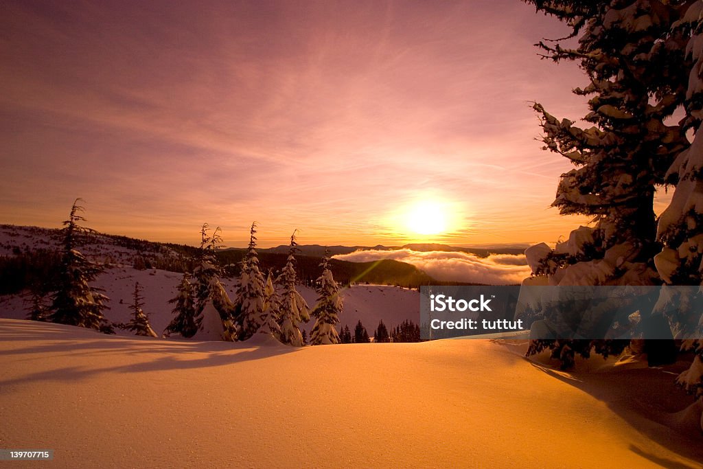 sunrise mt.hood, Schnee - Lizenzfrei Baum Stock-Foto