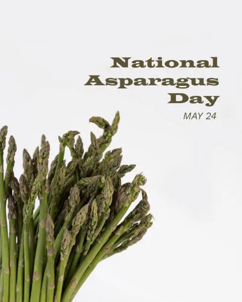 Bunch of fresh green asparagus isolated on white background. Written text National Asparagus Day May 24. Vertical shot.