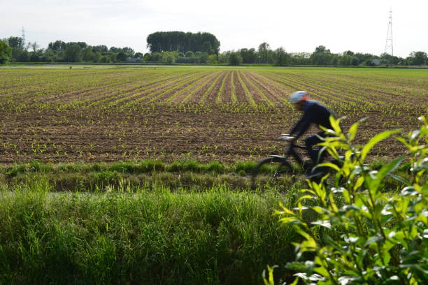 Wilsele, Vlaams-Brabant, Belgium - May 13, 2022: person, man or woman, motion blur, on a cycle lane at rush hour on Friday evening in front of a field in springtime on a sunny day