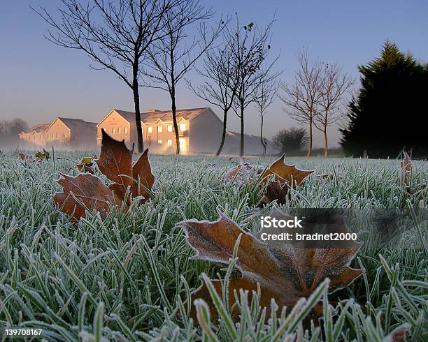 Winter Leaves Warm Sun Stock Photo - Download Image Now - Dawn, Frost, Grass