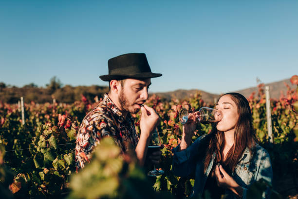 pareja joven degustando uvas de viñedo - vinos chilenos fotografías e imágenes de stock