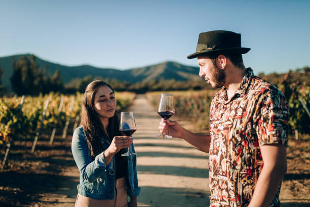 Young couple drinking red wine on vineyard Young couple drinking red wine on vineyard chilean wine stock pictures, royalty-free photos & images