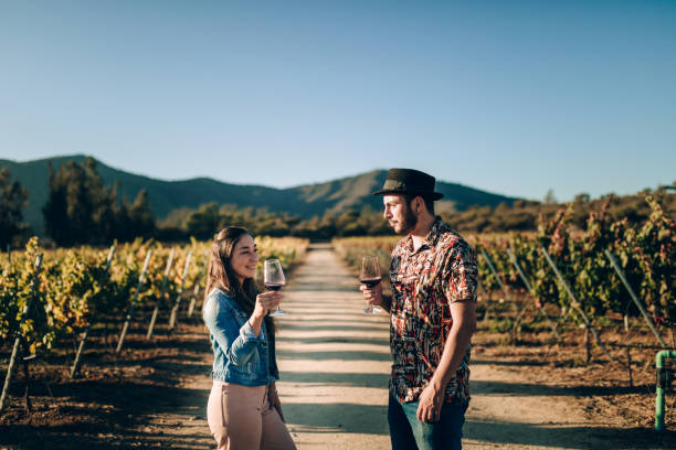 Young couple drinking red wine on vineyard Young couple drinking red wine on vineyard chilean wine stock pictures, royalty-free photos & images