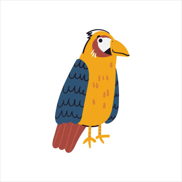 милый маленький попугай - vibrant color birds wild animals animals and pets stock illustrations