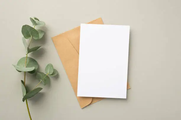 Photo of Business concept. Top view photo of paper sheet craft paper envelope and eucalyptus on pastel grey background with blank space