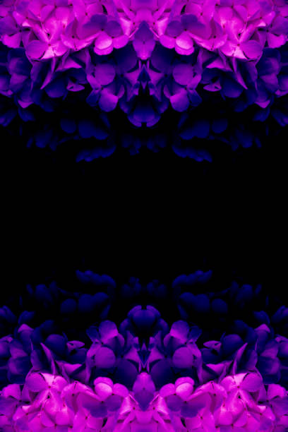 Abstract background or texture with floral patterns and purple color illustration