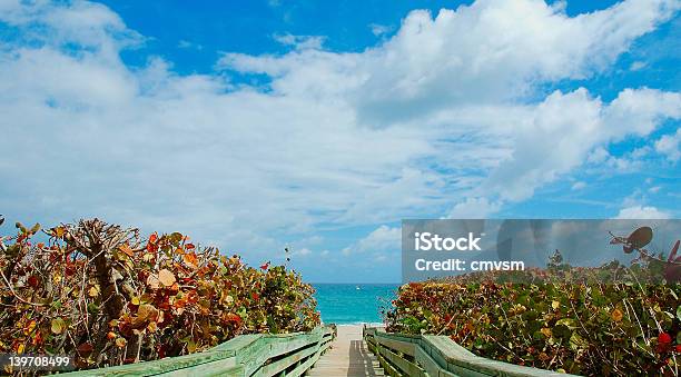 Ponte Grapeleaf - Fotografie stock e altre immagini di Blu - Blu, Cielo, Composizione orizzontale