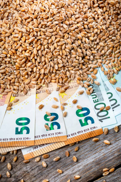 istock Concept of rising costs for wheat 1397087566