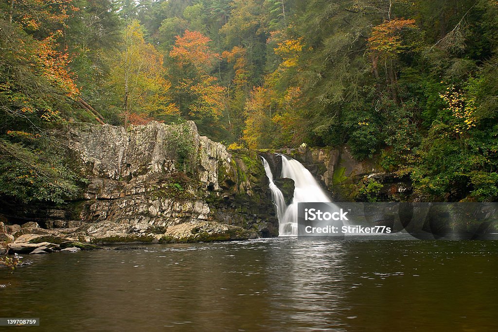 Cascate Abrams - Foto stock royalty-free di Cadere