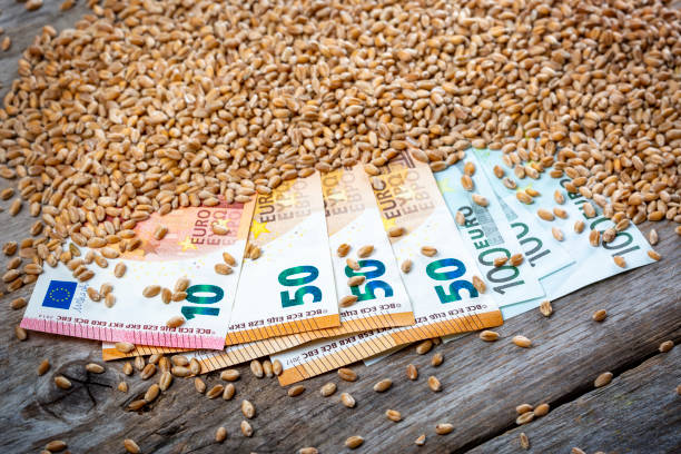 istock Concept of rising costs for wheat 1397087593