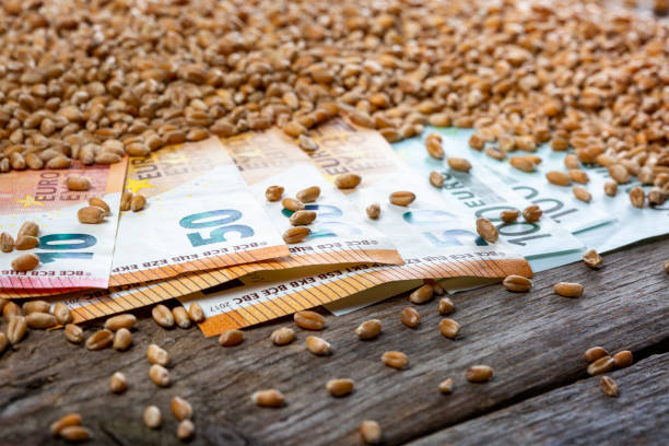 istock Concept of rising costs for wheat 1397087605