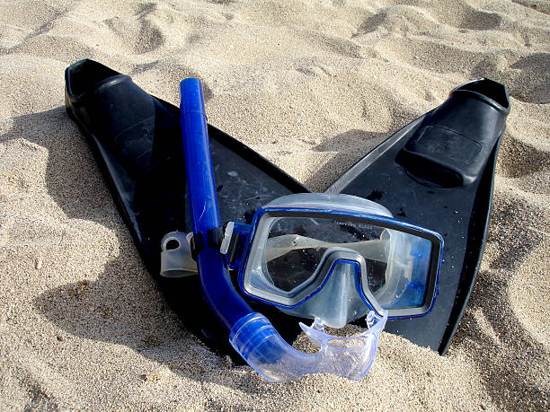 Equipamento para mergulho livre na praia - foto de acervo