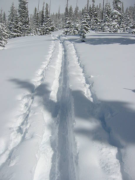 Winter Tracks stock photo