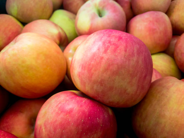 pile of apples close-up - macintosh apple imagens e fotografias de stock