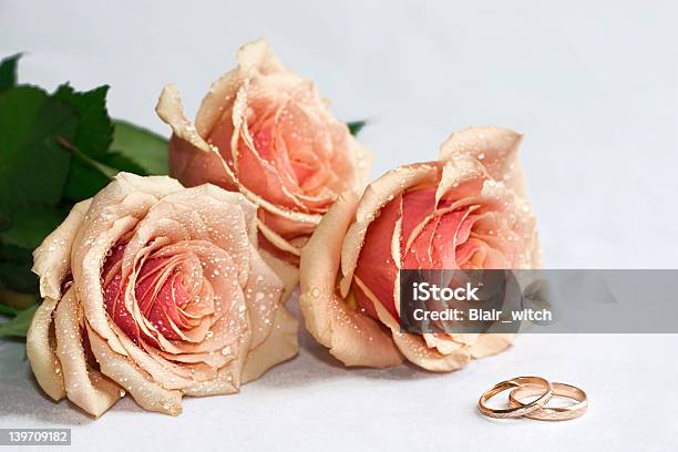 Rosen Und Ringe Stockfoto und mehr Bilder von Blume - Blume, Blumenschmuck, Blütenblatt
