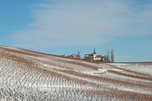 The wine-producing village of Fechy, surrounded by its snow-covered vineyards.