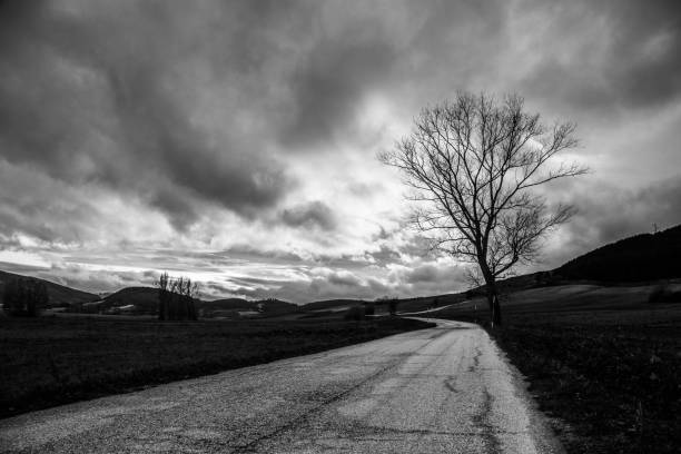 istock A curvy country road beneath a cloudy sky with a tree silhouette on the right 1397094127