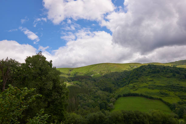 istock A mountain with lush vegetation under a cloudy sky 1397095441
