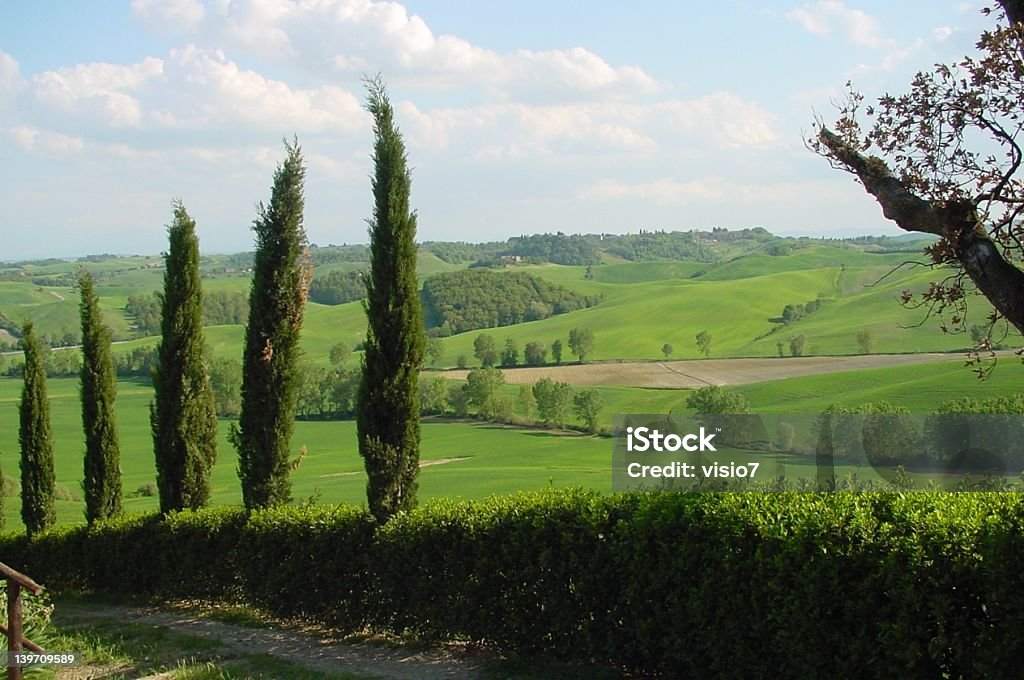 Toscana - Foto de stock de Europa - Locais geográficos royalty-free