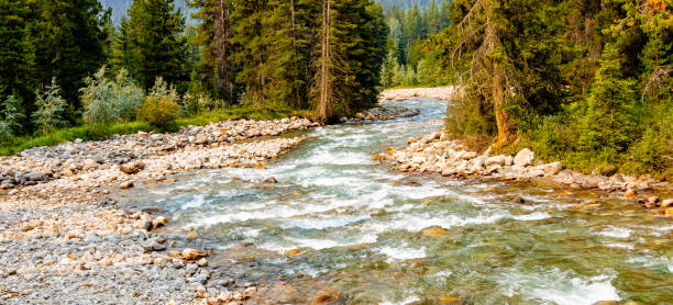 istock Baker Creek Banff National Park Alberta Canada 1397097904