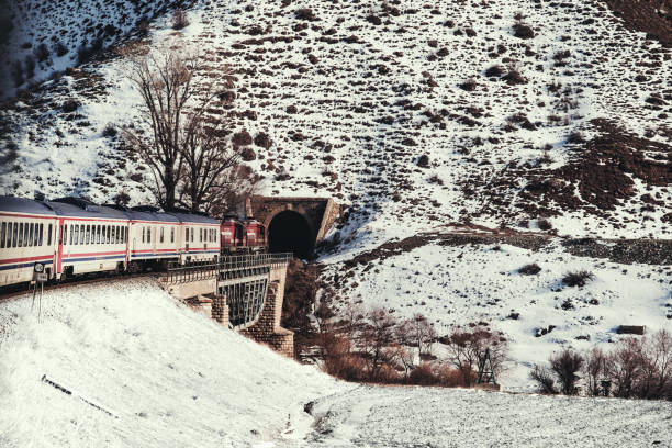 Erzincan, Turkey - February 22, 2022: Eastern express train and the train is about to enter the tunnel.