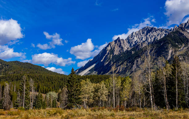 istock Hillsdale Meadows Banff National Park Alberta Canada 1397098883