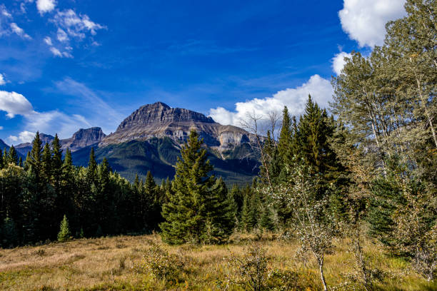 istock Hillsdale Meadows Banff National Park Alberta Canada 1397098884