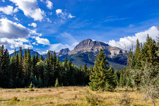 istock Hillsdale Meadows Banff National Park Alberta Canada 1397098885