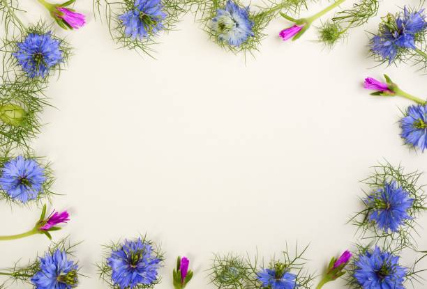 istock Frame from little blue cumin flowers on a paper background 1397099189