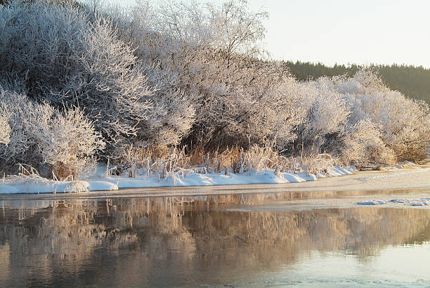 El invierno río 2 - foto de stock