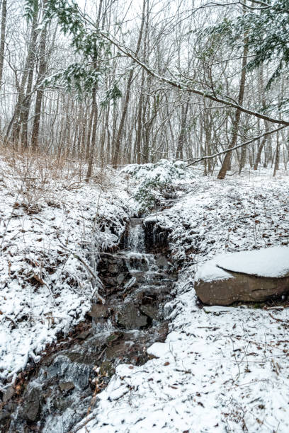 istock Small Waterfall from a stream in the woods 1397100917