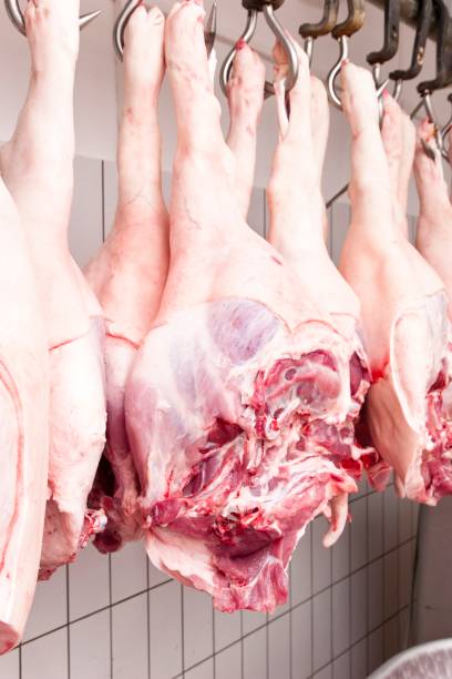 jambons fraîchement abattus - butcher butchers shop slaughterhouse hook photos et images de collection