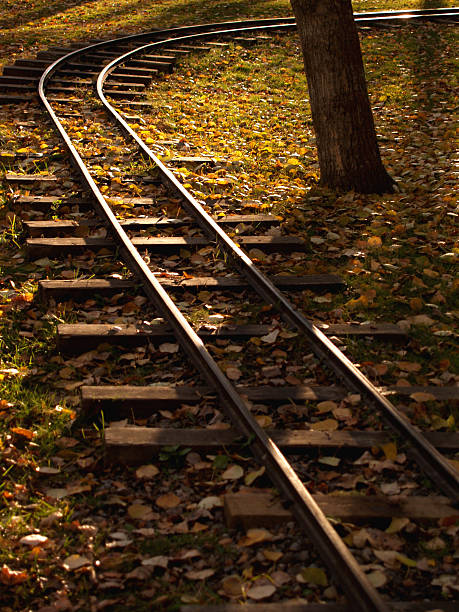 istock Train Tracks at the Park 139710386