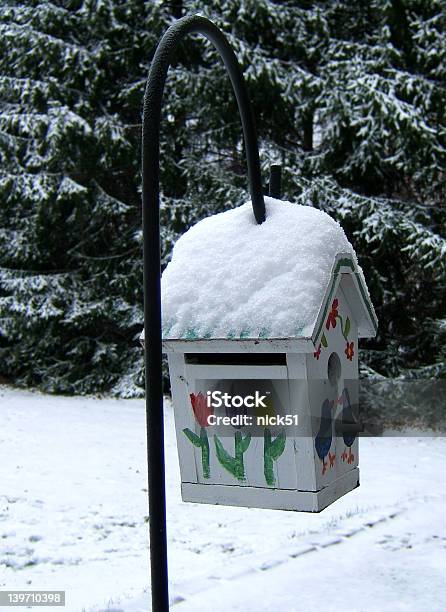 Primavera No Inverno - Fotografias de stock e mais imagens de Ao Ar Livre - Ao Ar Livre, Casa de Pássaro, Confortável