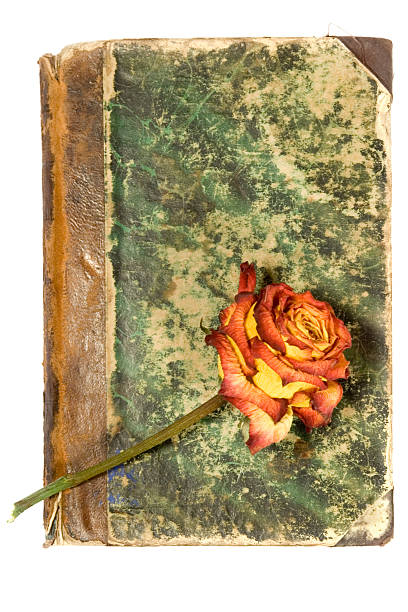 vieille couverture de livre & rose - poetic burnt romanc dirty photos et images de collection